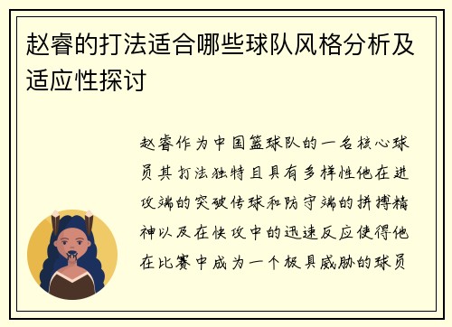 赵睿的打法适合哪些球队风格分析及适应性探讨